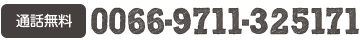 TEL.0066-9711-325171